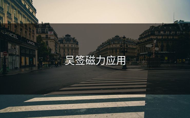 吴签磁力应用