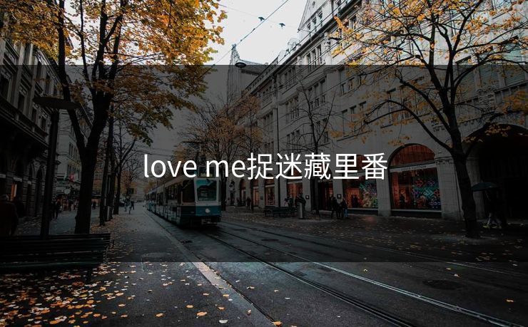 love me捉迷藏里番