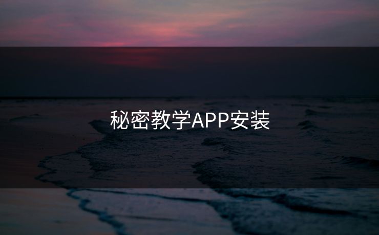 秘密教学APP安装
