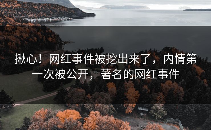 揪心！网红事件被挖出来了，内情第一次被公开，著名的网红事件