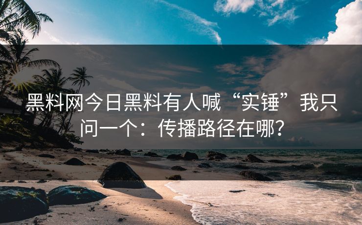 黑料网今日黑料有人喊“实锤”我只问一个：传播路径在哪？