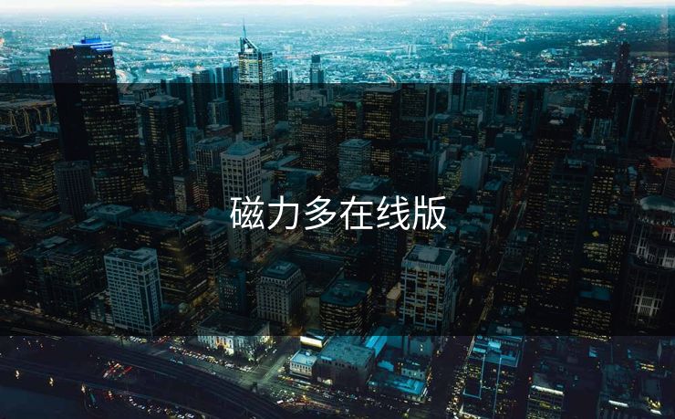 磁力多在线版