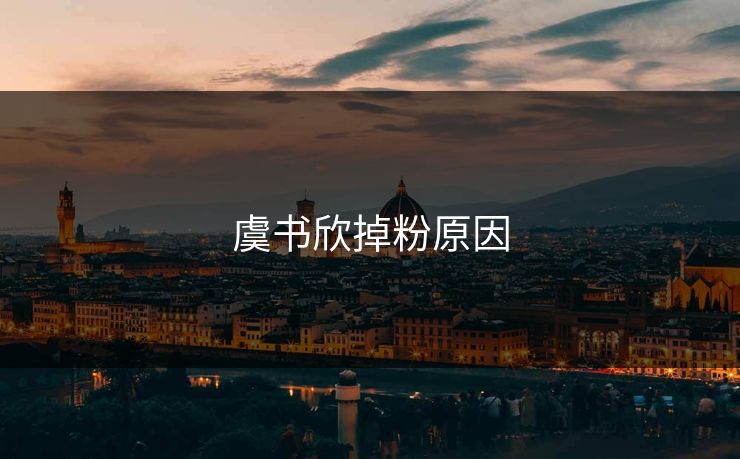 虞书欣掉粉原因